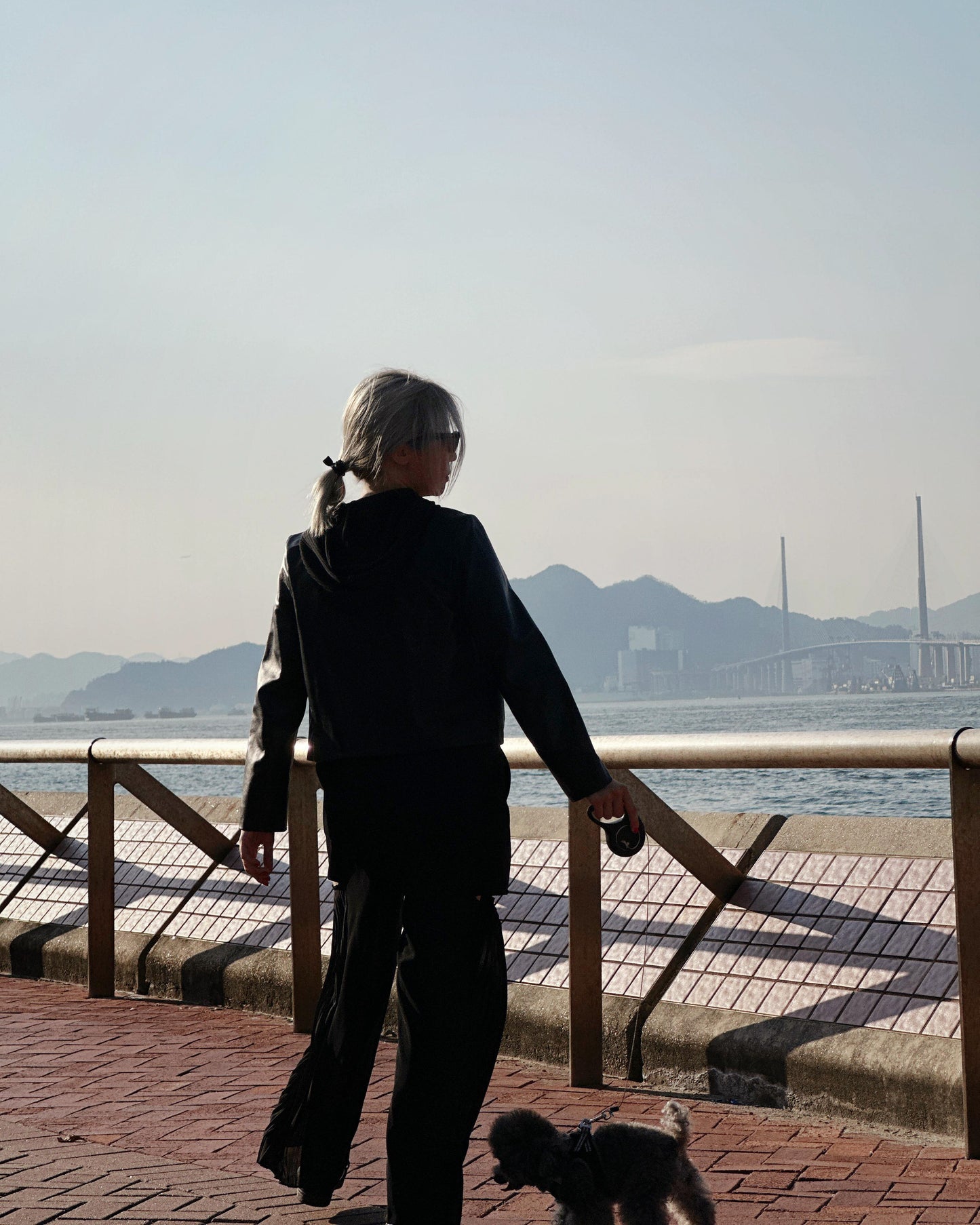 aalis LAM cutout chiffon side pleated pants (Black)