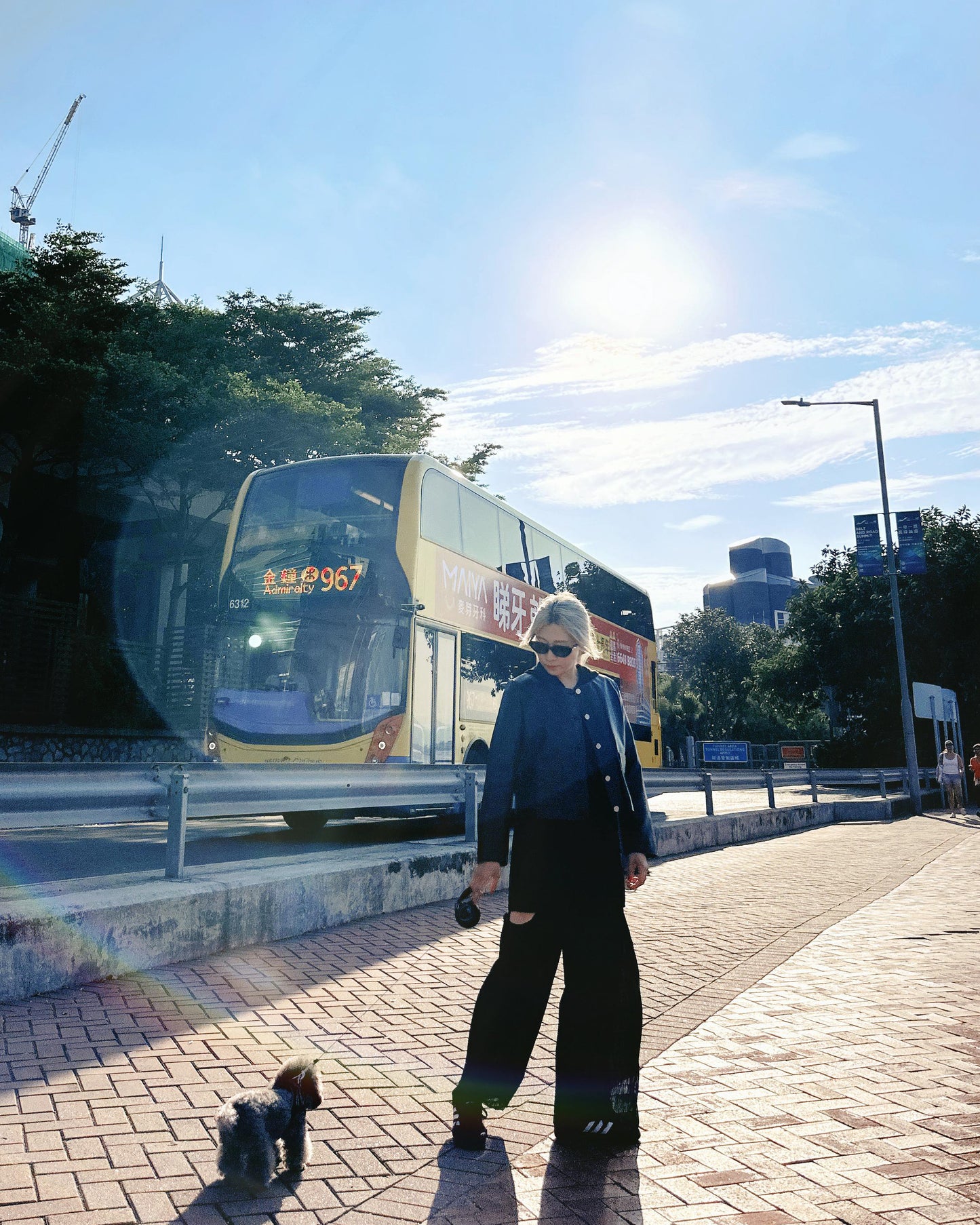 aalis LAM cutout chiffon side pleated pants (Black)