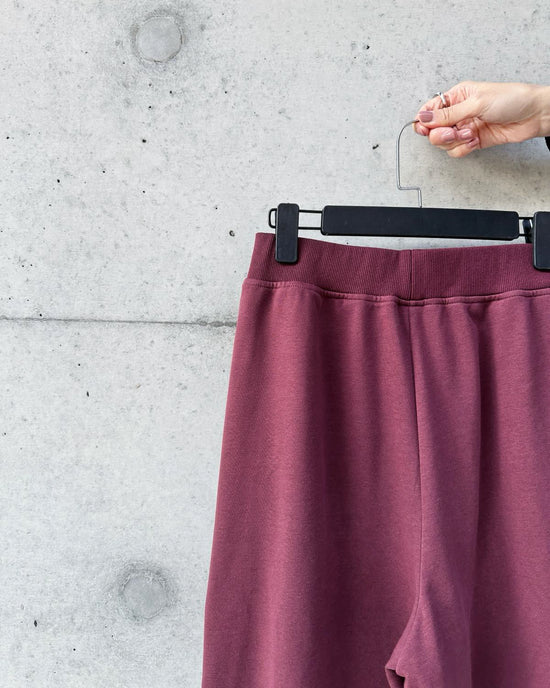 aalis REMY fishnet side panel track pants  (Plum)