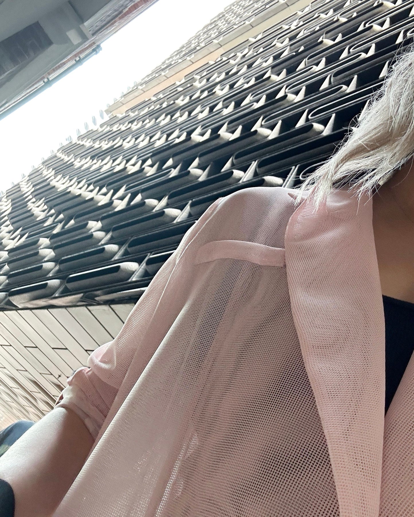aalis MONI NET SS26 blazer (Lt Pink)