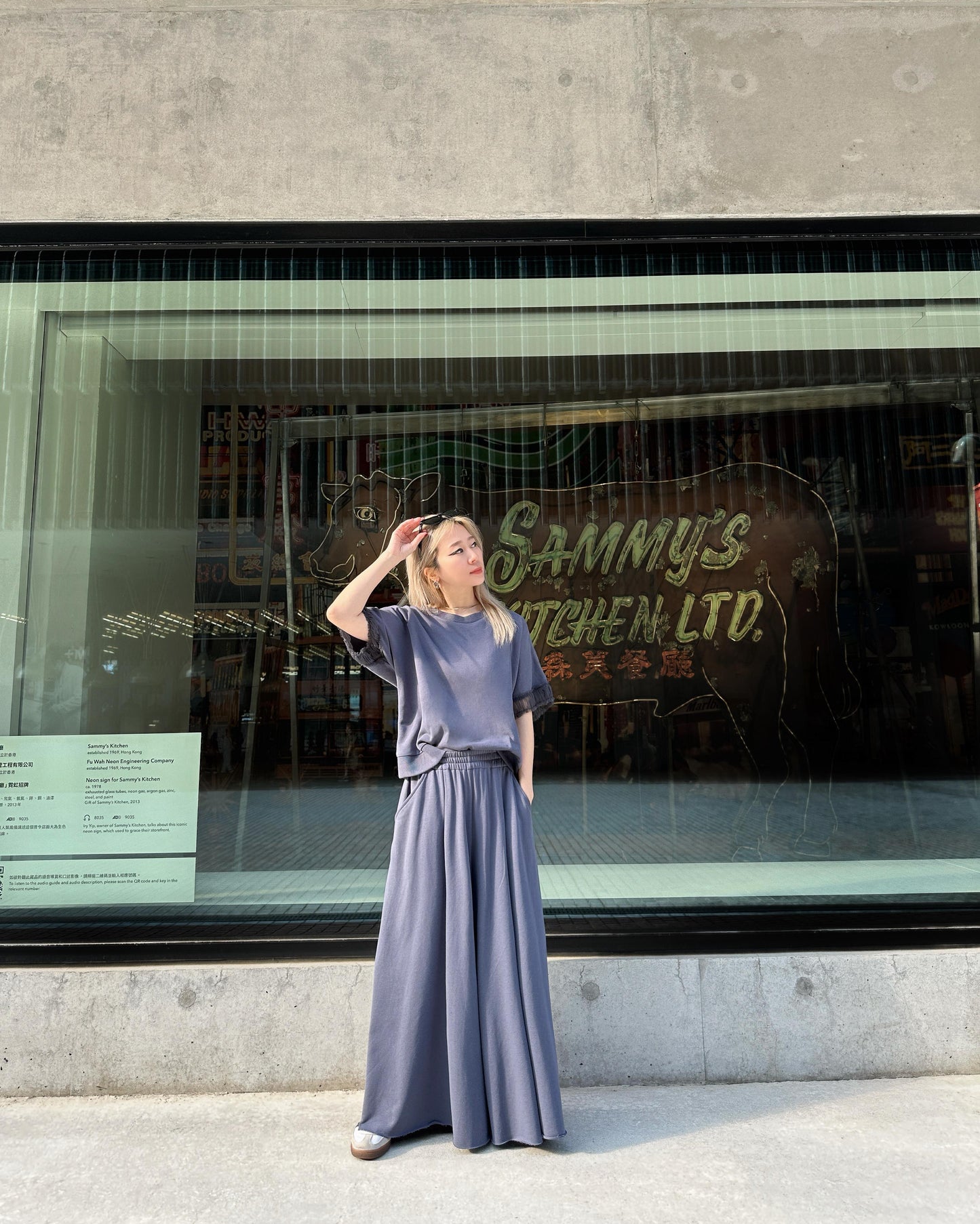 aalis ASENKA sleeves mesh ruching (Grey Blue)