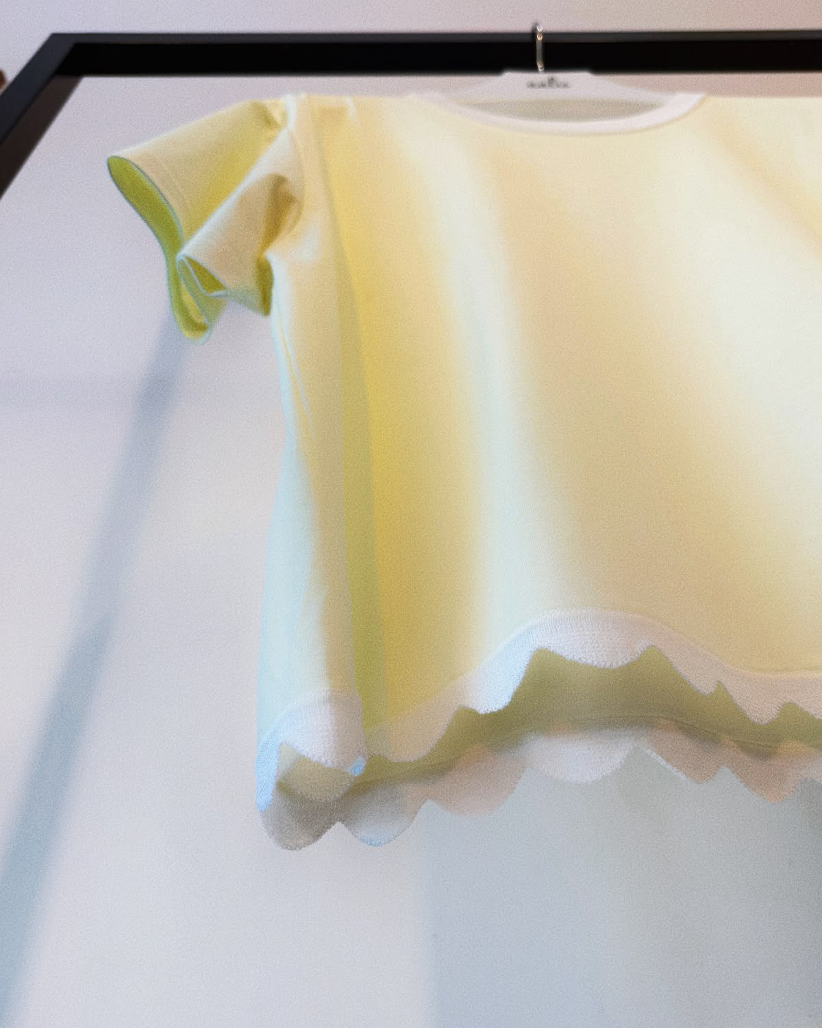 aalis MIVA knit scalloped edge cropped tee (Light Yellow)