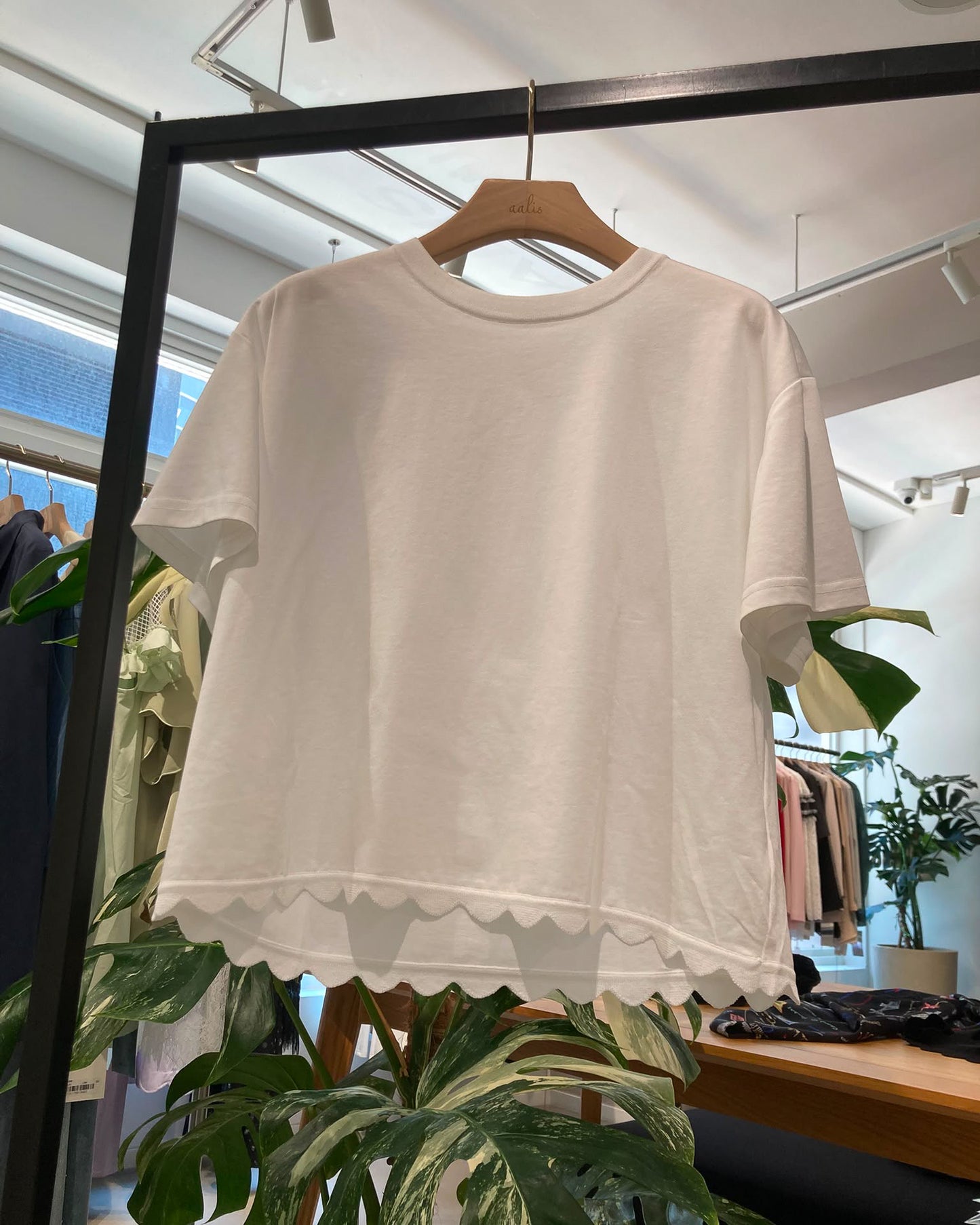 aalis MIVA knit scalloped edge cropped tee (White)