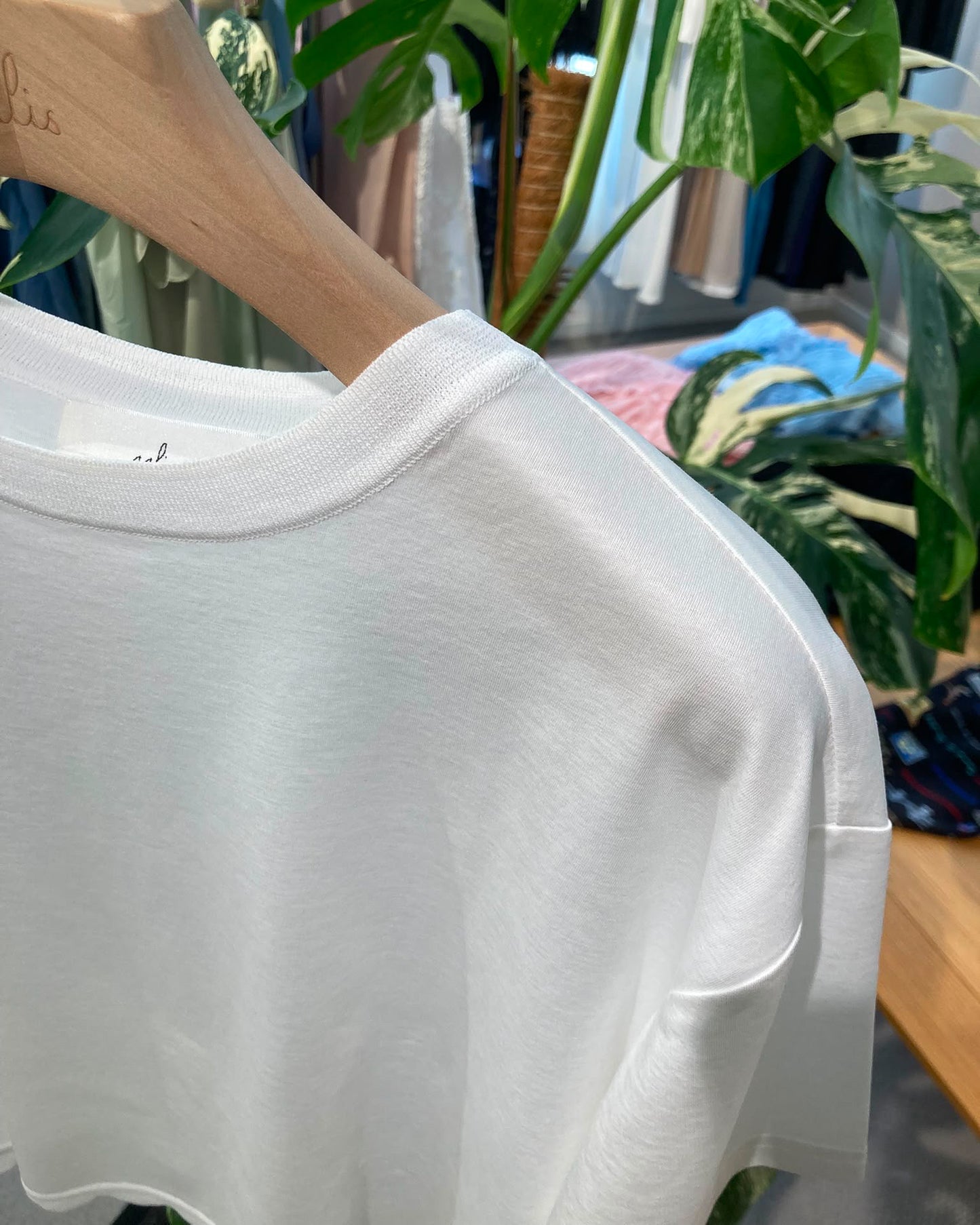 aalis MIVA knit scalloped edge cropped tee (White)
