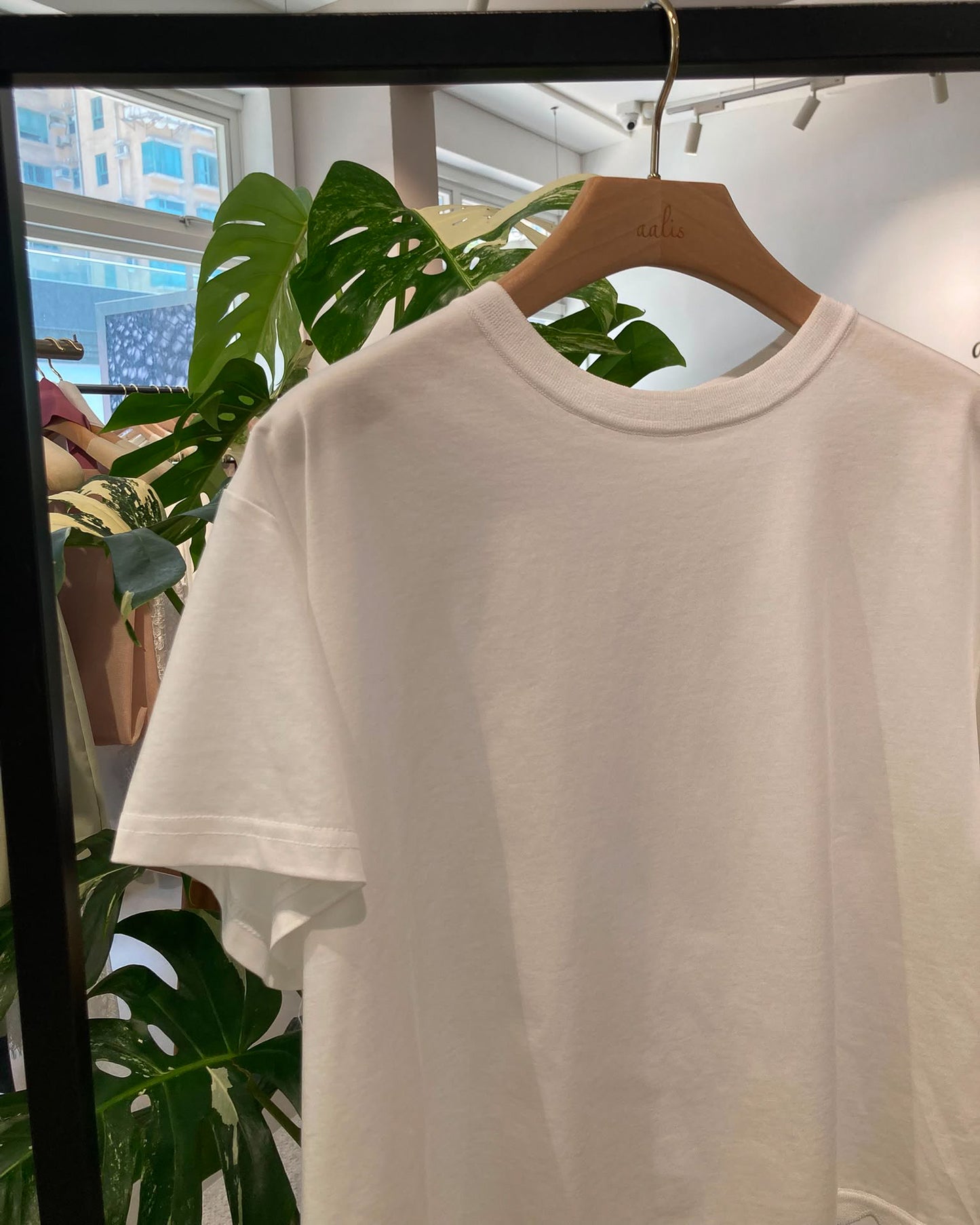 aalis MIVA knit scalloped edge cropped tee (White)