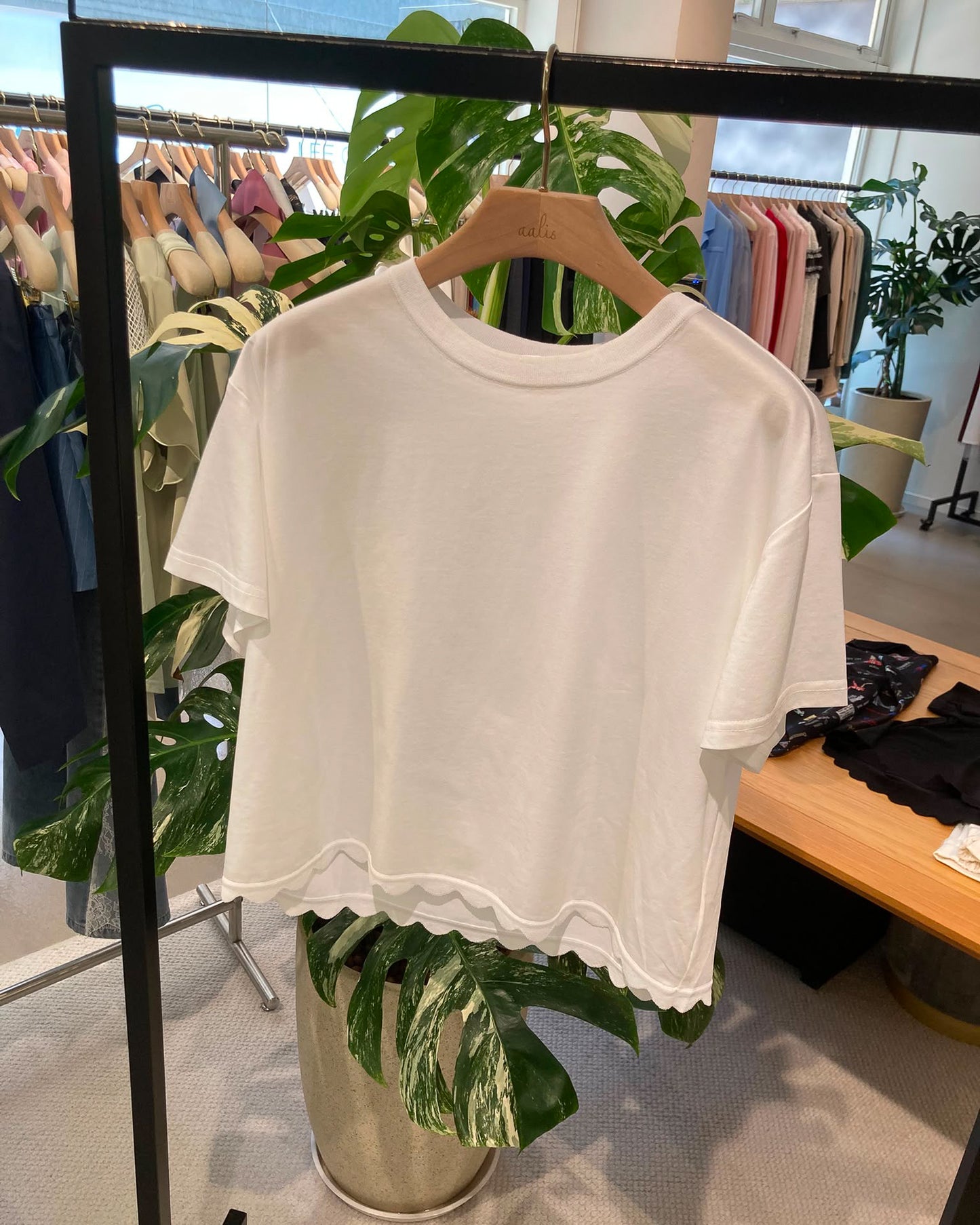 aalis MIVA knit scalloped edge cropped tee (White)