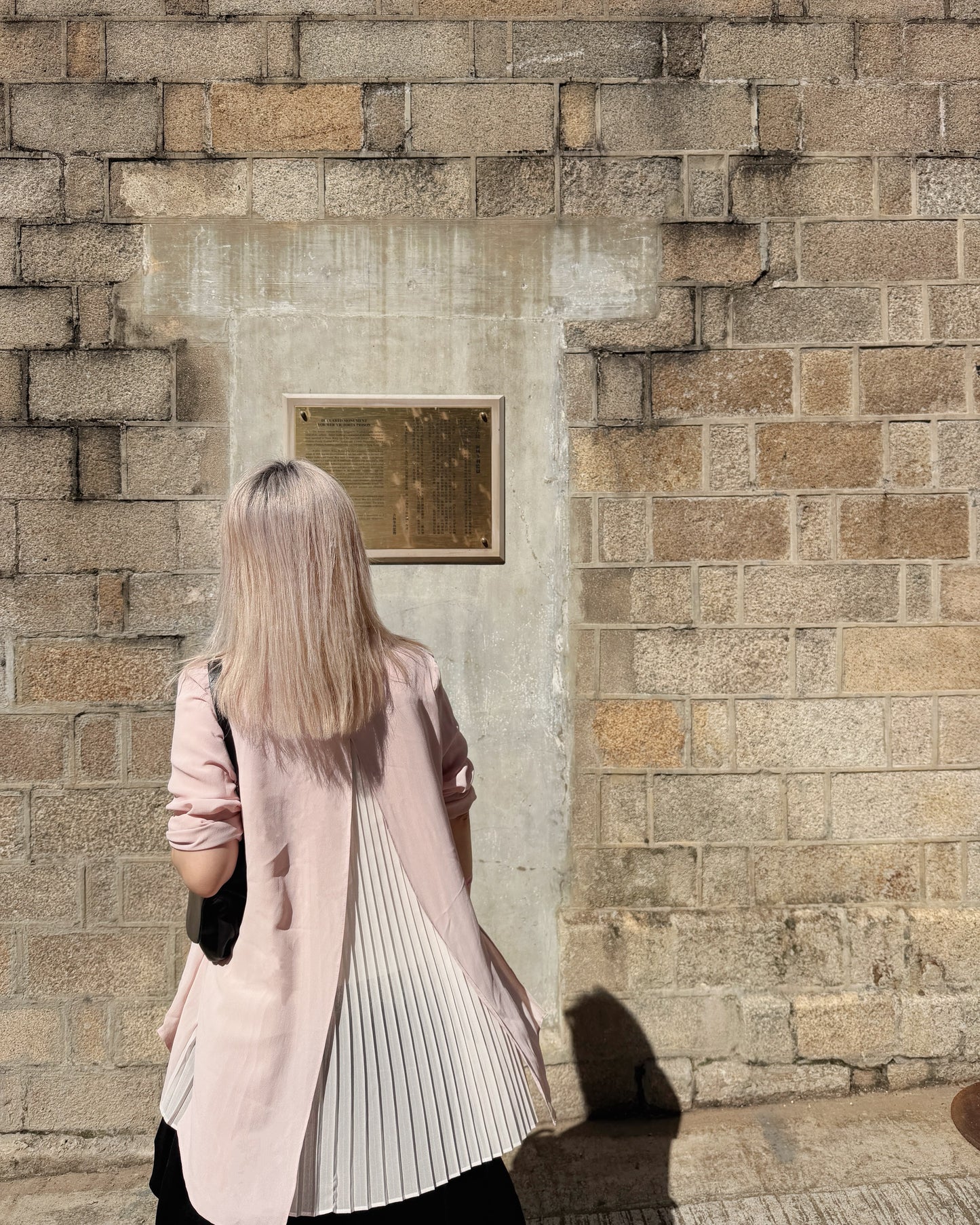 aalis MANJI pleated back chiffon blazer (Pink)