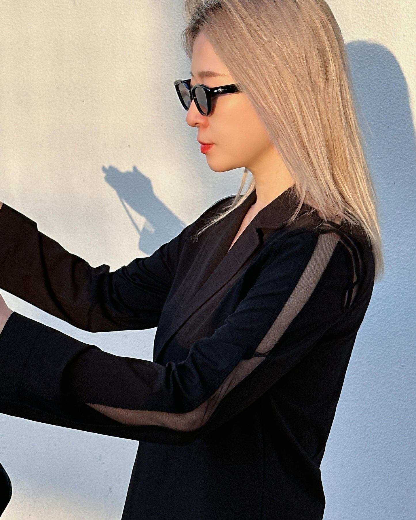 aalis ISOLA mesh cutout blazer (Black)