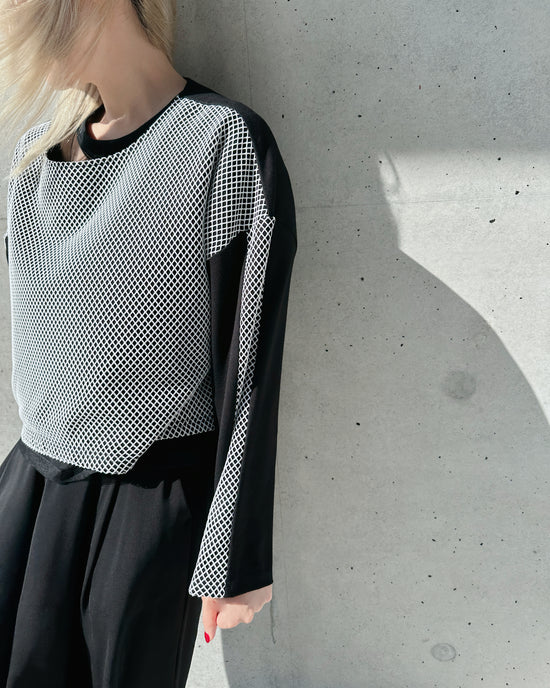 aalis CARY fishnet panel L/S sweater top (Black)