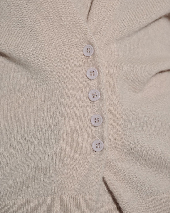 aalis SHELIA button details leather trim crewneck sweater (Oatmeal mix)