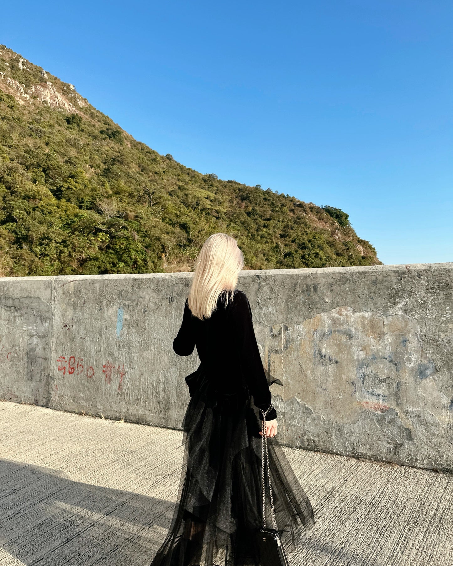 aalis EMBER tiered cascade mesh skirt (Black Mesh)